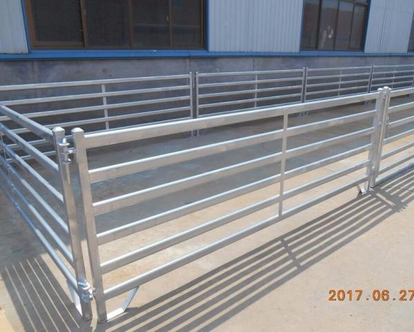 Cerca galvanizada 1.7m maioria Panels dos rebanhos animais do aço carbono, painéis portáteis da cabra