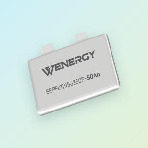 Original Lithium Ion Battery Energy Storage 50Ah 6000 Times Cycle