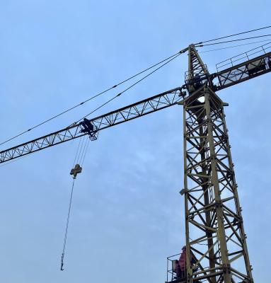 Guindaste Verde Miniatura 10T Amplamente Usado na Construção