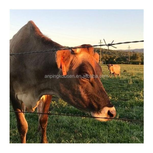 7.5cm-15cm Barb Distance Cross Razor Hot Dip Zinc Plating Razor Barbed Wire for Farm