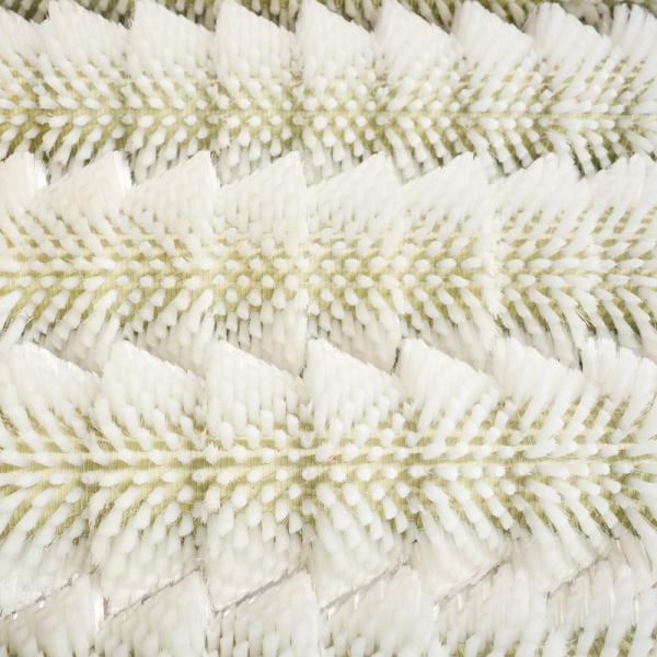 Jujube Miscellaneous 300kg Fruit Vegetable Washing Machine