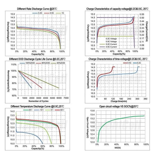 12v 100ah Lithium Iron Lifepo4 Battery BMS Energy Solar Control 12V