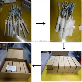 Grill à pellets à base de biomasse de bois / Poêles à chaud en céramique / Kit d'allumage à tube 110/220/230V Puissance 200-300W Température 900-1100C U.W. 57g