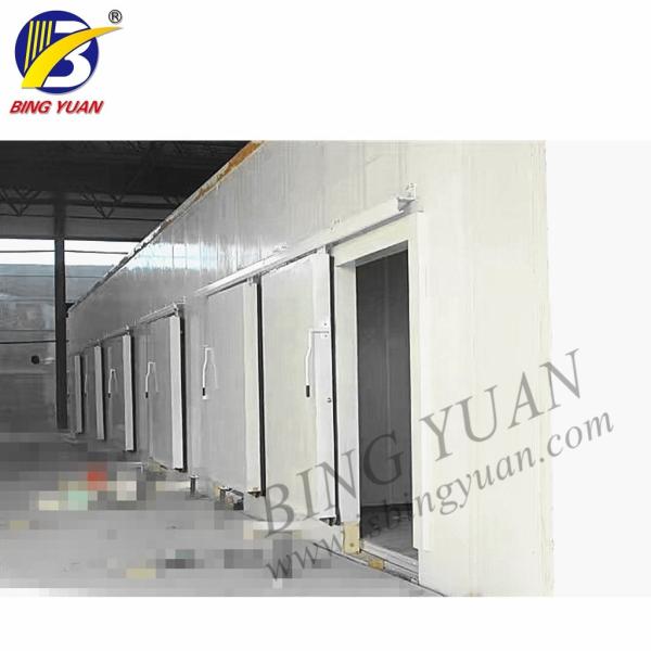 220V 75mm Solar Power Containerized Cold Room , Cold Room For Fish Storage