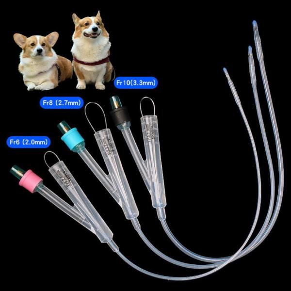 Dog Urinary Catheter Placement in Dogs Durable Solutions for Pet Care
