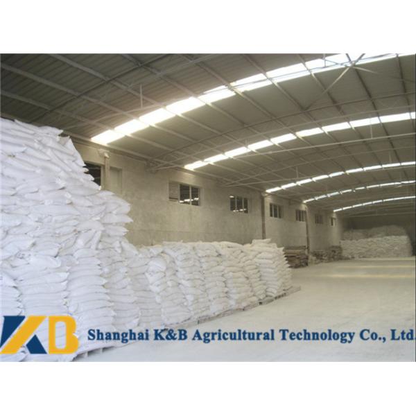 Safe High Protein Fish Meals Sea Fish Meat Material For Animal Feed Stock