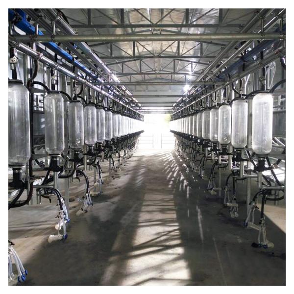 380v 7.5kw Herringbone Milking Parlor for goat farm