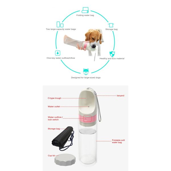 Wireless Automatic Pet Feeder Offering Remote Feeding Control Multiple Meal Scheduling and Compact Space Saving Design