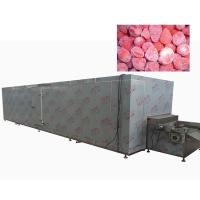 Machine de congélation continue à refroidissement à l'air de fruits et d'aliments 1800 kg/h