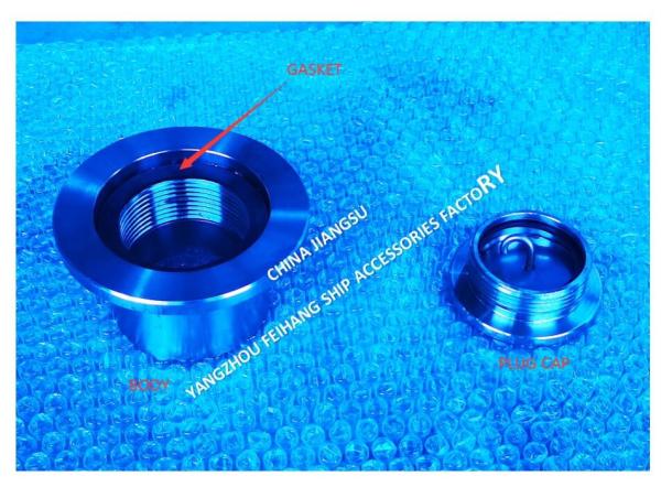 Stainless Steel Threaded Sounding Pipe Head Meets Standard GB/T3778-99