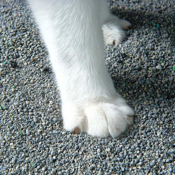 Sodium Based Ore Cat Litter Customize 100 Dust Free Cat Litter