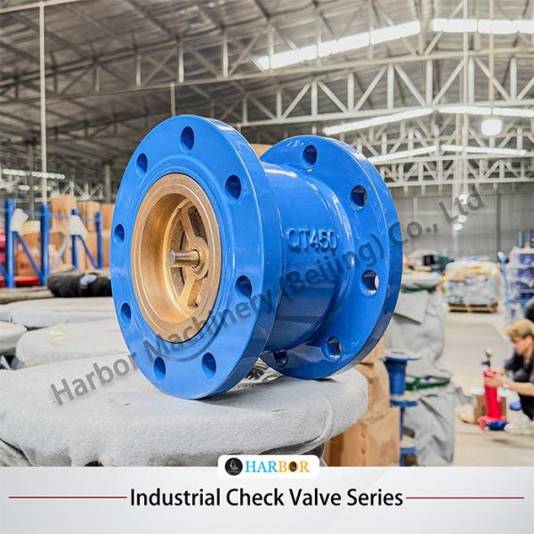 H42H-16/25C Cast Steel Vertical Single-Direction Flanged Check Valve with OEM Support