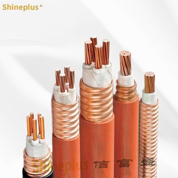 Customized Mineral Fire Protection Cable BTLY 0.6 1KV 5*16 Aerial Insulated Radiation Proof Soft Cable