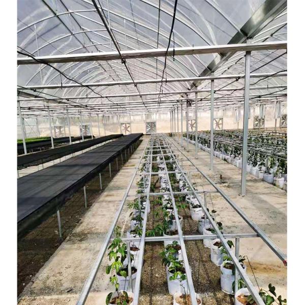 Hot Dipped Galvanized Steel Pipe Greenhouse Vent for Open Ventilation and Ridge Roof