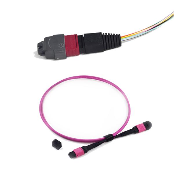 3.0mm LSZH Round MPO MTP Patch Cord with Low Insertion Loss ≤0.35dB for 10G OM3 OM4 Multimode Applications