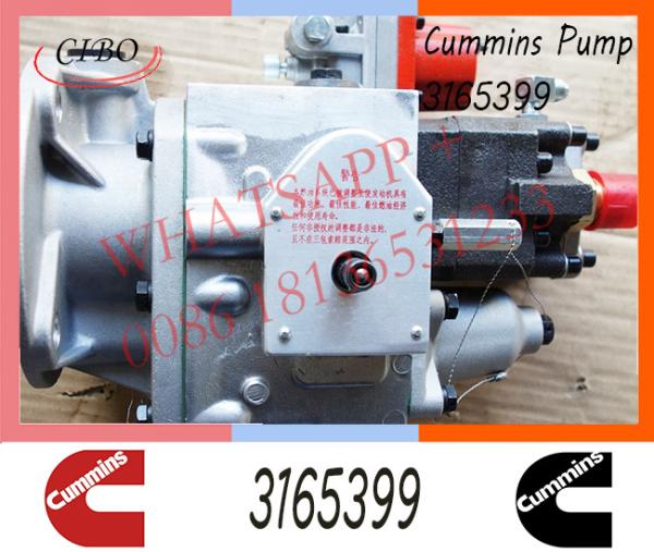 Diesel Injection For Cummins NT855 Fuel Pump 3165399 3074672 3074835 3074843