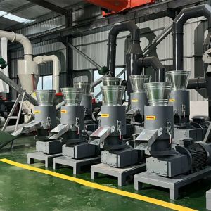 Ориентированная на заказчика деревянная машина мельницы лепешки 800kg/H в деревянном CE случая