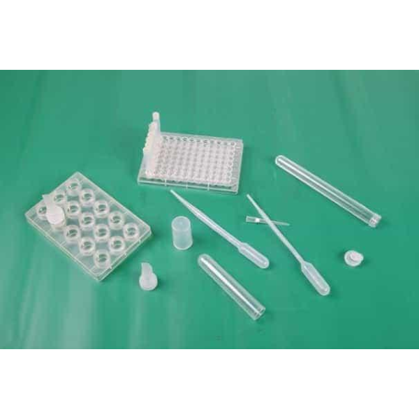 Tailored Injection Mold Solution Serving Specialized Molding Industry for Other mold