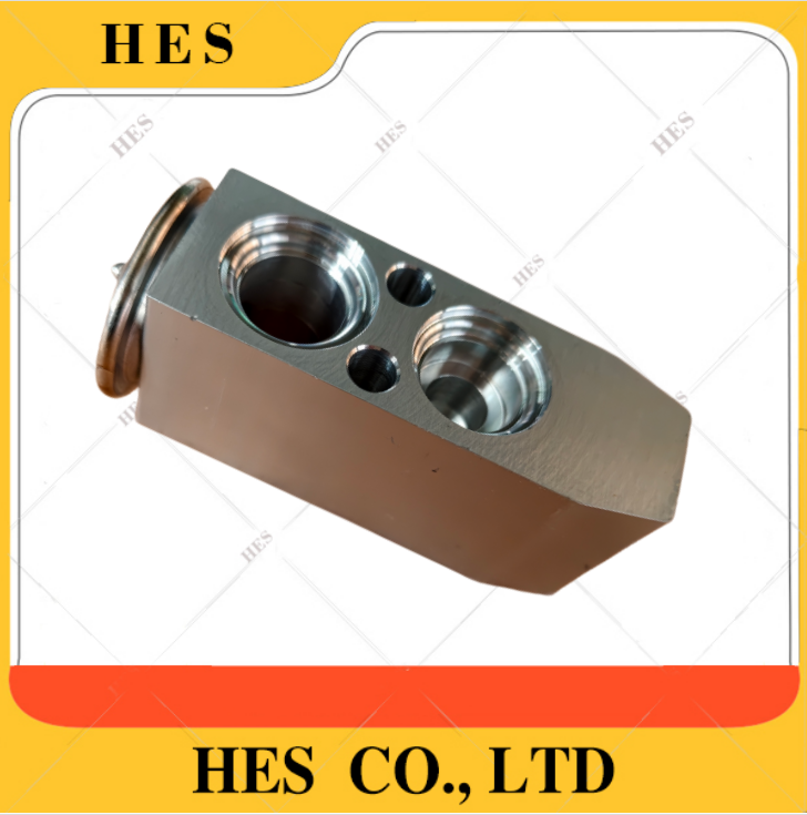 4190002822 Expansion Valve