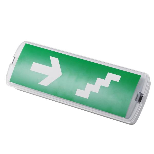 Lumière d'urgence commerciale à LED rechargeable 200lm 220 - 240V