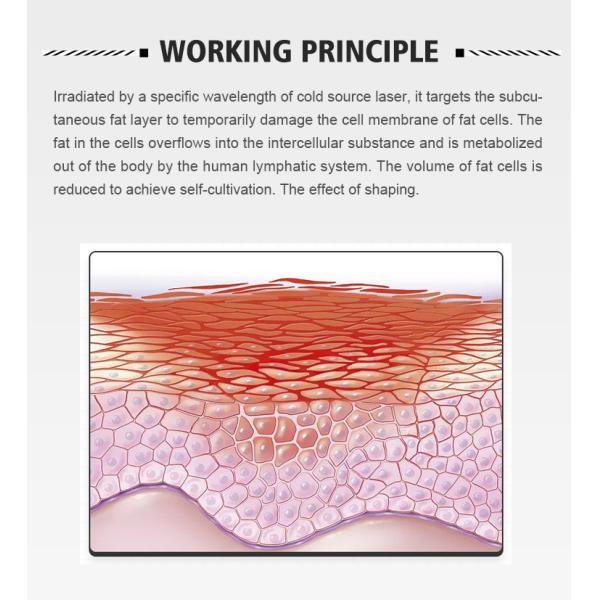 6D Max Lipo Лазер 532nm 2 в 1 Hiemtsure Машина для похудения
