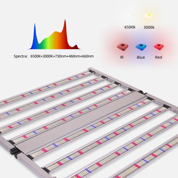 ANDY 4x4ft 800W Full Spectrum LED Grow Light Estadios de luz de plantas de plantas de vegetales hidropónicas con Samsung LM301H EVO LM281B