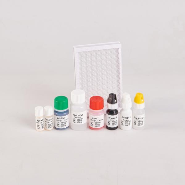 RUO HSV1 IgM Elisa kit