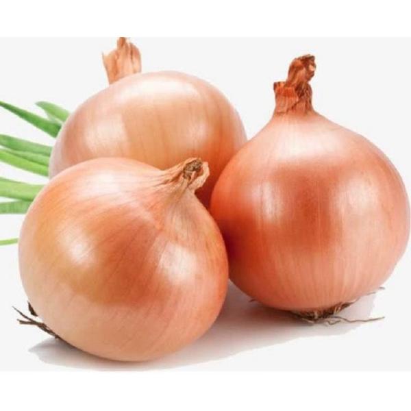 Automatic Vegetable Peeler and Garlic Peeling Equipment for Food Processing 600*600*700MM