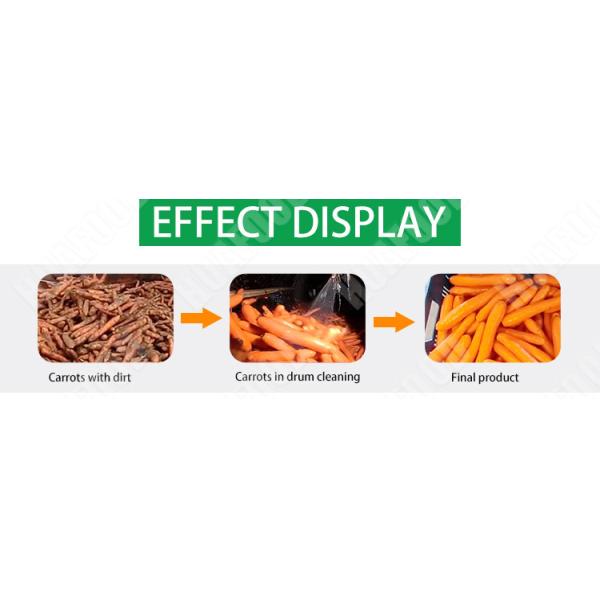 High Efficiency Potato Processing Machinery  Brush Type Carrot Cleaning Machine