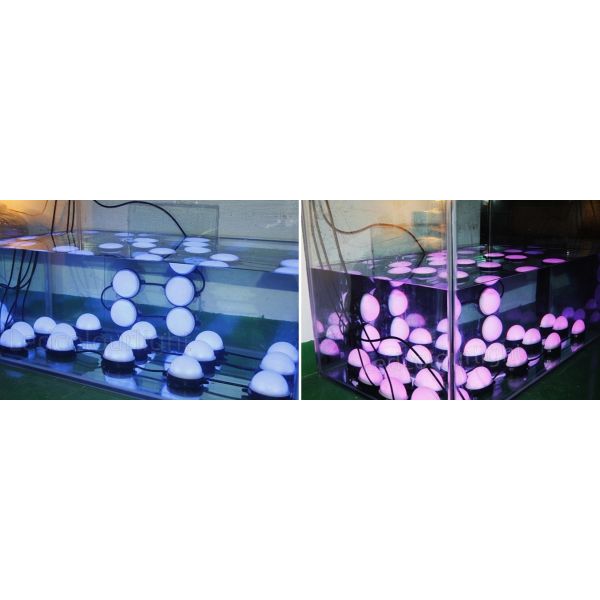 High Quality PC Base 100mm 3W DMX512 Control Addressable LED Dot Lights