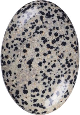 Natural Polished Dalmatian Jasper Palm Stone Oval Shaped Dalmatian Crystal Energy Stone for Buildings Decoration