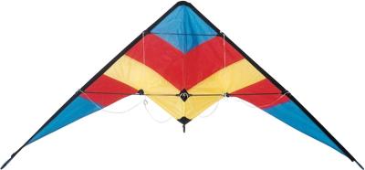 O papagaio especial do conluio do delta do poliéster da imagem, papagaio dos esportes, fácil monta para povos