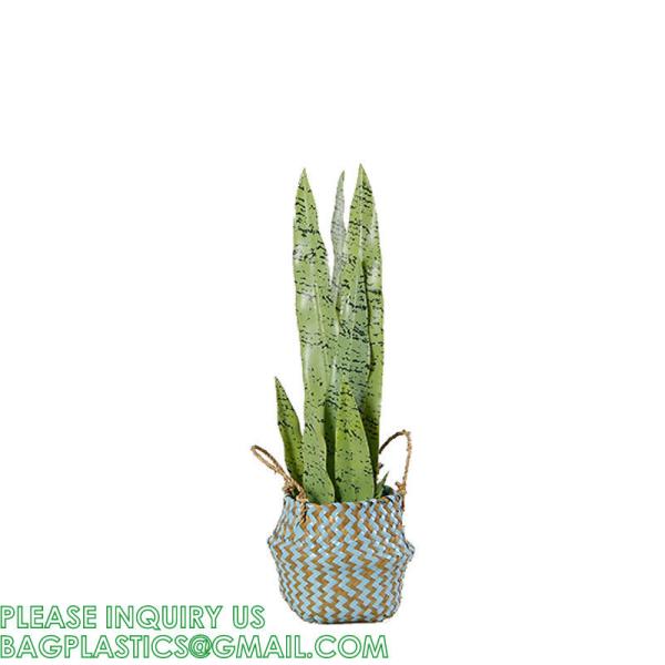 Home Decoration Basket For Plants Cotton Rope Woven Rattan Flower Pots Planter Cotton Rope Woven Rattan Flower Pots