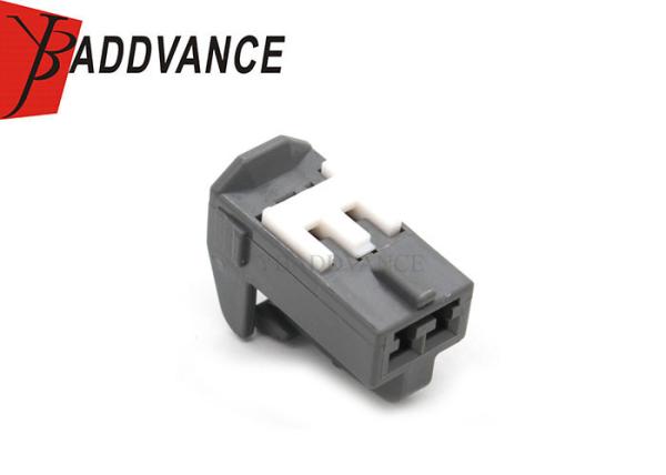 ODM 2 elétricos Pin Female Plastic Pipe Connectors do OEM para o carro