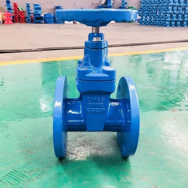 Non Rising Stem Soft Seated Gate Valve Cast Iron Flange Sluice Gate Valve