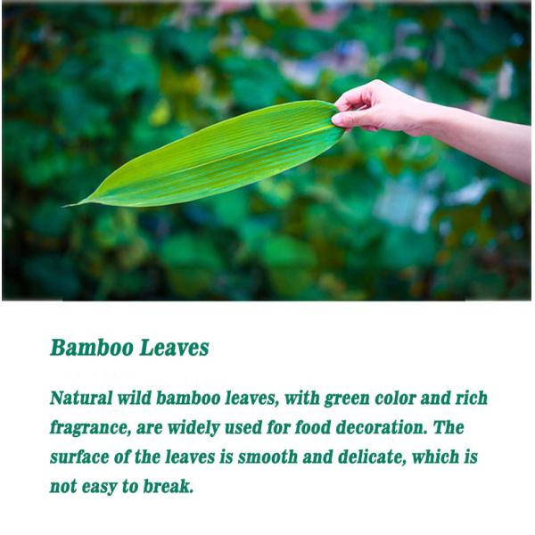 Vacuum Packed 23cm Fresh Bamboo Leaves For Rice Dumplings