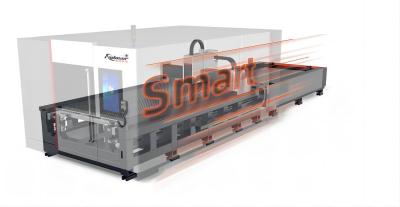 Customizable Gantry Type CNC Laser Cutting Machine For Carbon Steel Stainless