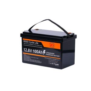 High Energy Density LiFePO4 Lithium Battery 12.8V 100Ah With 6000 Times Cycle