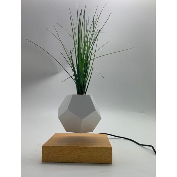 360 rotating little star magnetic levitation Suspension air bonsai vase plant tree flyte