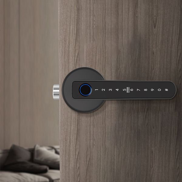 Tuya  Smart Lock Electronic Keypad Entry Door Auto Lock Password Smart Handle Fingerprint Door Lock