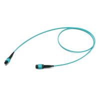 24 câbles OM3 OM4 MPO de correction de la fibre MPO de la fibre 12 à MPO