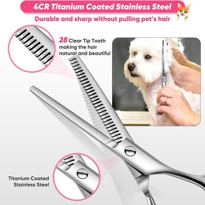 6 em tesouras de aço inoxidável Kit With Safety Round Tips de 1 preparação do cão