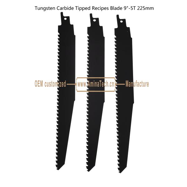 Tungsten Carbide Tipped Recipes Blade 9