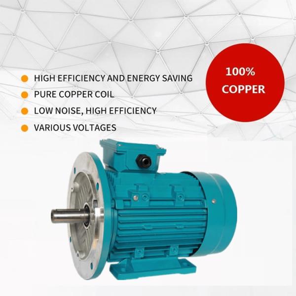 IP44 Aluminum Electric Induction Motor TEFC For Pump Reducer