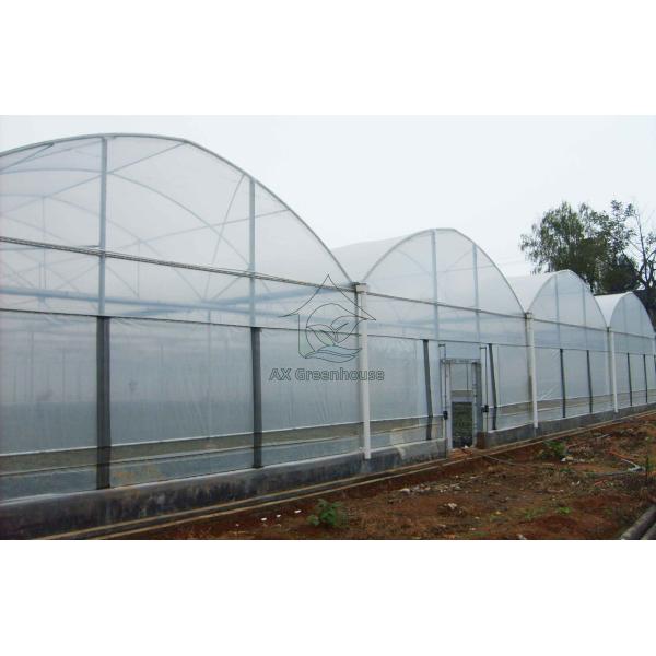 Factory manufacturer Plastic film arch galvanized steel pipe multi-span agricultural greenhouse