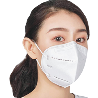 Personal Protective 3 Ply Non Woven Face Mask Anti - Flu Particulate Respirator