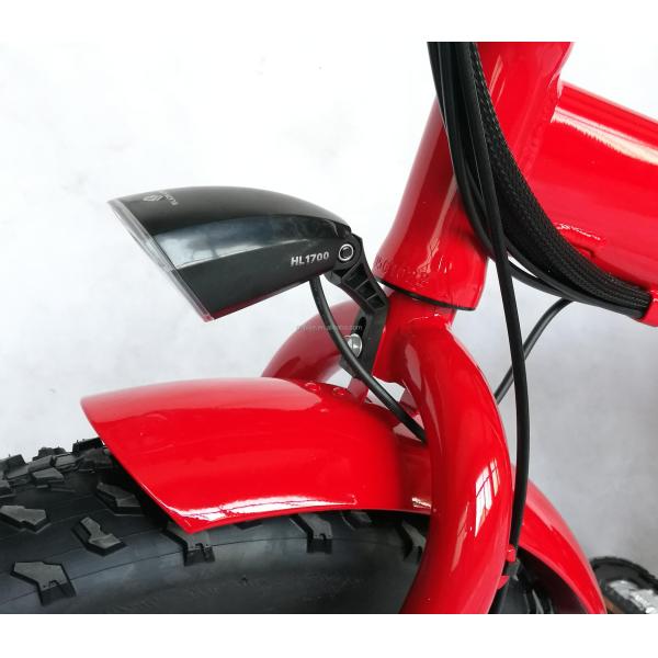 1000W 48V 21AH 7 Speed Disc Brake 20