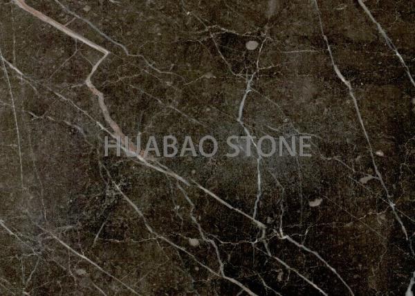Outdoor Gold Brown Marble Slab Tile Customized Size With Gold Vein
