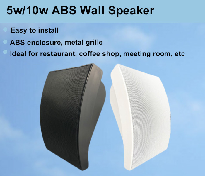 5W 10W Wall Speaker 4 Inch Woofer 1 Inch Tweeter ABS Speaker