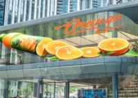 120W/M2 FCC Arc Led Film Screen 4200CD/Sqm Transparent Led Curtain